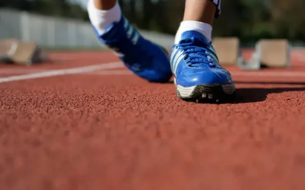 sklep-sport Publikacja: Sport, fitness, kuchnia